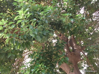 uccio-13-11-2012 09-18-42